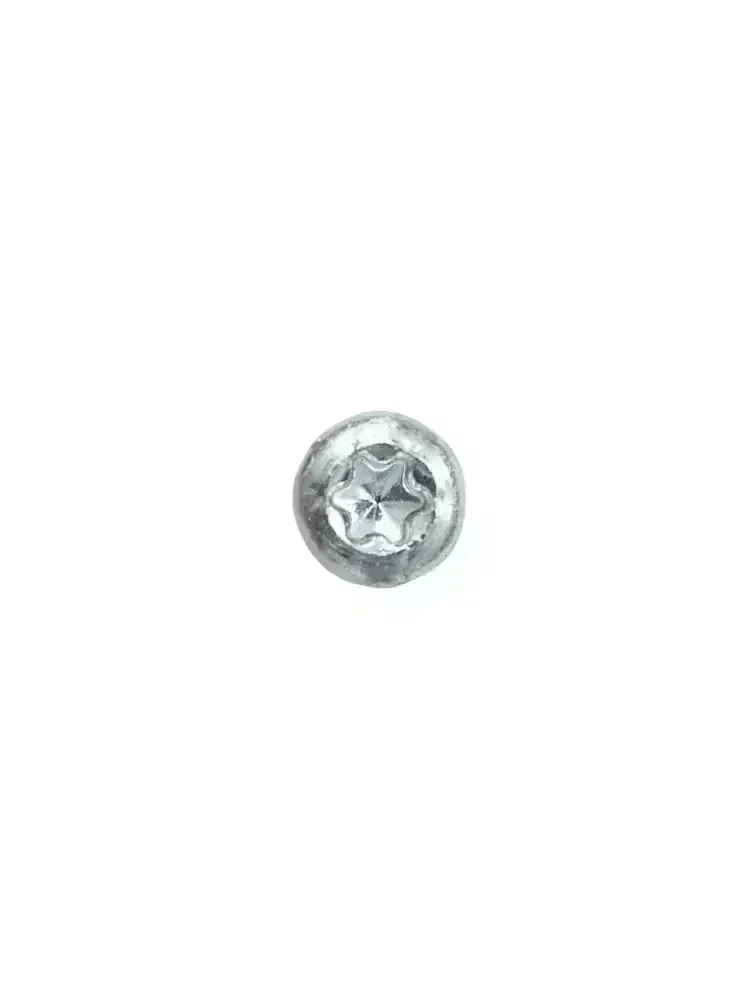 RAPI-TEC BSP do lišt 3,2x30 mm TX10 (250ks) ZB